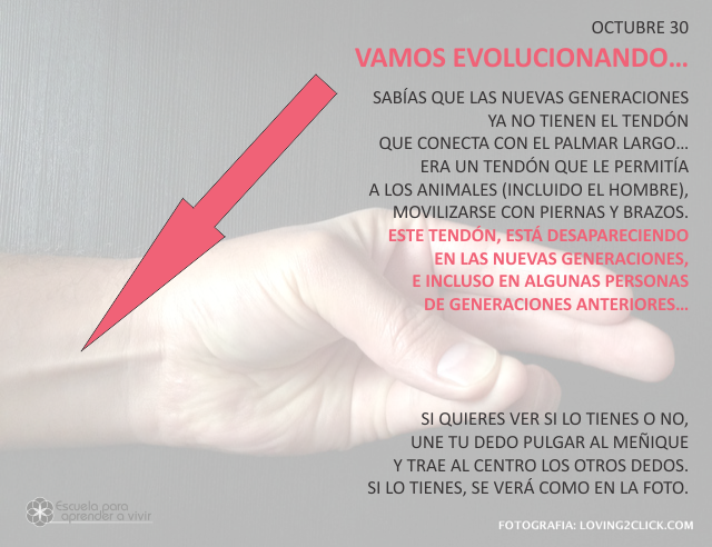 Vamos evolucionando...